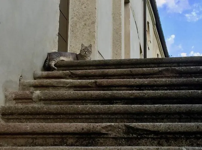 Çiftlik konaklama Borgo Buzzaccarini Rocca Di Castello *